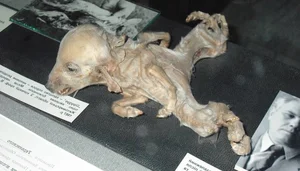 Eerie Historical Moments: Uncovering the Chilling Stories Behind Rare Photos - image 4