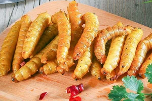 From Terrifying Pest to Culinary Delicacy: The World of Edible Caterpillars - image 0