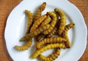 From Terrifying Pest to Culinary Delicacy: The World of Edible Caterpillars - image 8