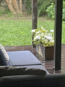 Actress Kim Hien Shares Her Picture-Perfect Spring Garden in the United States - image 2