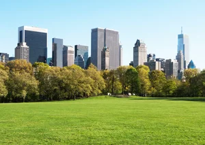 Fascinating and Surprising Facts About New York City, Voted the Best City in the World for 2024 - image 7