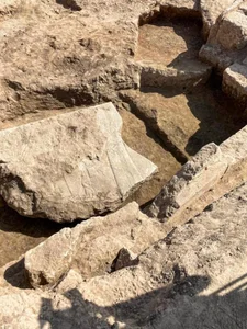 Ancient Gold and Relics: The Magnificent Treasures of Assyrian Royalty - image 3