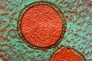 Unbelievable Facts About Earth's Most Mysterious Life Forms - image 6