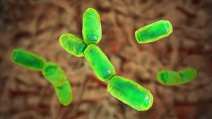 Unbelievable Facts About Earth's Most Mysterious Life Forms - image 8