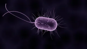 Unbelievable Facts About Earth's Most Mysterious Life Forms - image 3