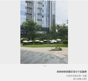 Behind the Scenes: Inside the Apartment Complex Spending a Fortune to Shade Trees - image 3