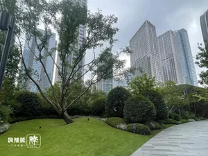 Behind the Scenes: Inside the Apartment Complex Spending a Fortune to Shade Trees - image 5