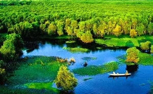 Exploring the Hidden Gems of the Mekong Delta: The Hometown of Nam Em and Hồ Văn Cường - image 4