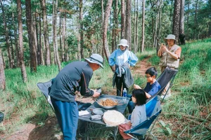 Rainy Season in Da Lat: A Chilling Guide to Picking Wild Mushrooms - image 4