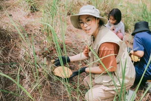 Rainy Season in Da Lat: A Chilling Guide to Picking Wild Mushrooms - image 2