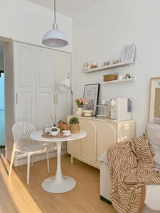 Small Space, Big Dreams: A Surprisingly Functional 25m2 Apartment - image 10