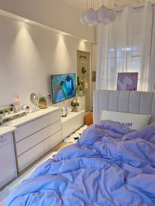 Small Space, Big Dreams: A Surprisingly Functional 25m2 Apartment - image 1