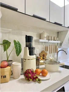 Small Space, Big Dreams: A Surprisingly Functional 25m2 Apartment - image 7