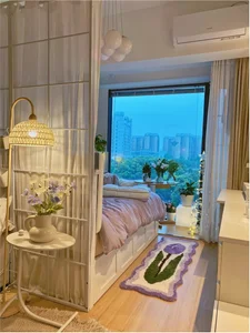 Small Space, Big Dreams: A Surprisingly Functional 25m2 Apartment - image 4