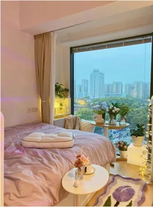 Small Space, Big Dreams: A Surprisingly Functional 25m2 Apartment - image 0