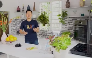 Explore Singer Phi Hung's Massive 3,000m2 Lush Green Garden House Retreat - image 6
