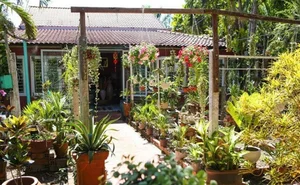 Explore Singer Phi Hung's Massive 3,000m2 Lush Green Garden House Retreat - image 0