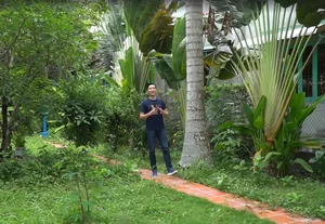Explore Singer Phi Hung's Massive 3,000m2 Lush Green Garden House Retreat - image 3