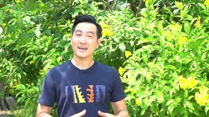 Explore Singer Phi Hung's Massive 3,000m2 Lush Green Garden House Retreat - image 5