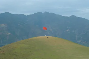 Discover the Breathtaking Beauty of Tri An Grassland During the Dry Season - image 8