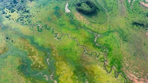 Discover the Breathtaking Beauty of Tri An Grassland During the Dry Season - image 5
