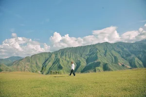 Discover the Breathtaking Beauty of Tri An Grassland During the Dry Season - image 11