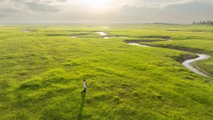 Discover the Breathtaking Beauty of Tri An Grassland During the Dry Season - image 9