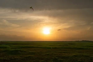 Discover the Breathtaking Beauty of Tri An Grassland During the Dry Season - image 1
