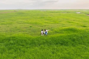 Discover the Breathtaking Beauty of Tri An Grassland During the Dry Season - image 4