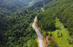 Dangerous Landslides on the Scenic Mountain Passes Leading to Da Lat - image 2