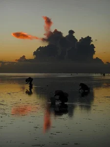 Stunning Close-Up: The 'Carp Leaping Over the Dragon Gate' Cloud Formation in Thai Binh - image 6