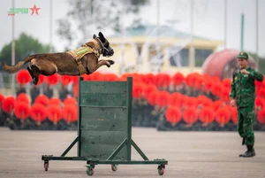 Preparations Intensify for International Defense Expo 2024 Opening - image 3