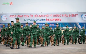 Preparations Intensify for International Defense Expo 2024 Opening - image 9