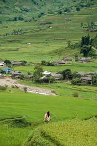 Discovering the Lush Green Beauty of Mu Cang Chai During Rice Season - image 5