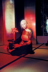 Creative Visuals from YiTuYu Art Language Vol.5598 Ping Chi Da Sha Yu - image 12
