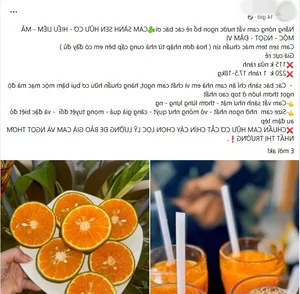 The Truth Behind Super Cheap Oranges Flooding the Market - image 2