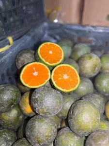 The Truth Behind Super Cheap Oranges Flooding the Market - image 0