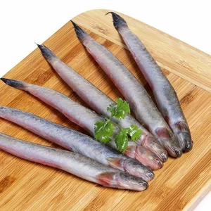 From Humble Beginnings to Luxury Delicacy: The Rise of High-Priced Specialty Fish - image 0