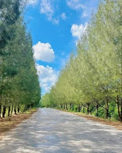 Discovering Quan Lan: A Serene Island Escape for Nature Lovers and Beach Enthusiasts - image 7