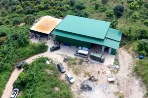 Inside the Investigation: Closing Down the Largest Ketamine Factory in Vietnam - image 2