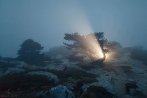14 Unbelievable Coincidental Moments Captured Perfectly on Camera - image 1