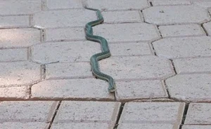 14 Unbelievable Coincidental Moments Captured Perfectly on Camera - image 0