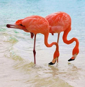 14 Unbelievable Coincidental Moments Captured Perfectly on Camera - image 8
