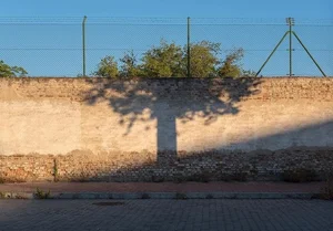 14 Unbelievable Coincidental Moments Captured Perfectly on Camera - image 2