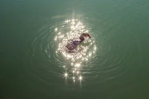 14 Unbelievable Coincidental Moments Captured Perfectly on Camera - image 9