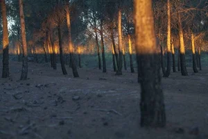14 Unbelievable Coincidental Moments Captured Perfectly on Camera - image 4