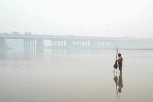 Pakistan's Record-Breaking Pollution Crisis: A Humanitarian and Environmental Struggle - image 3
