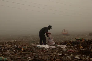Pakistan's Record-Breaking Pollution Crisis: A Humanitarian and Environmental Struggle - image 8