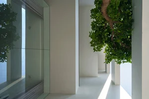 Stunning Townhouse Design Bringing Nature Indoors with Biophilic Architecture - image 5
