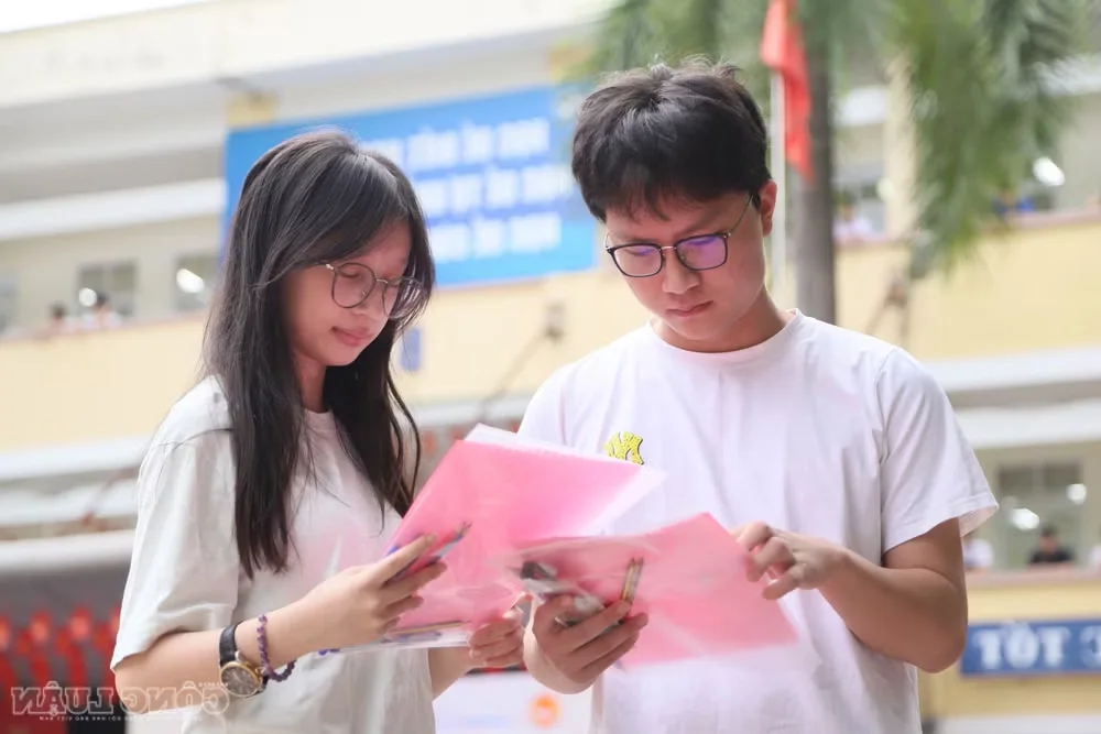 University Admission Groups 2026: A01 and C00 Score Distribution Analysis
